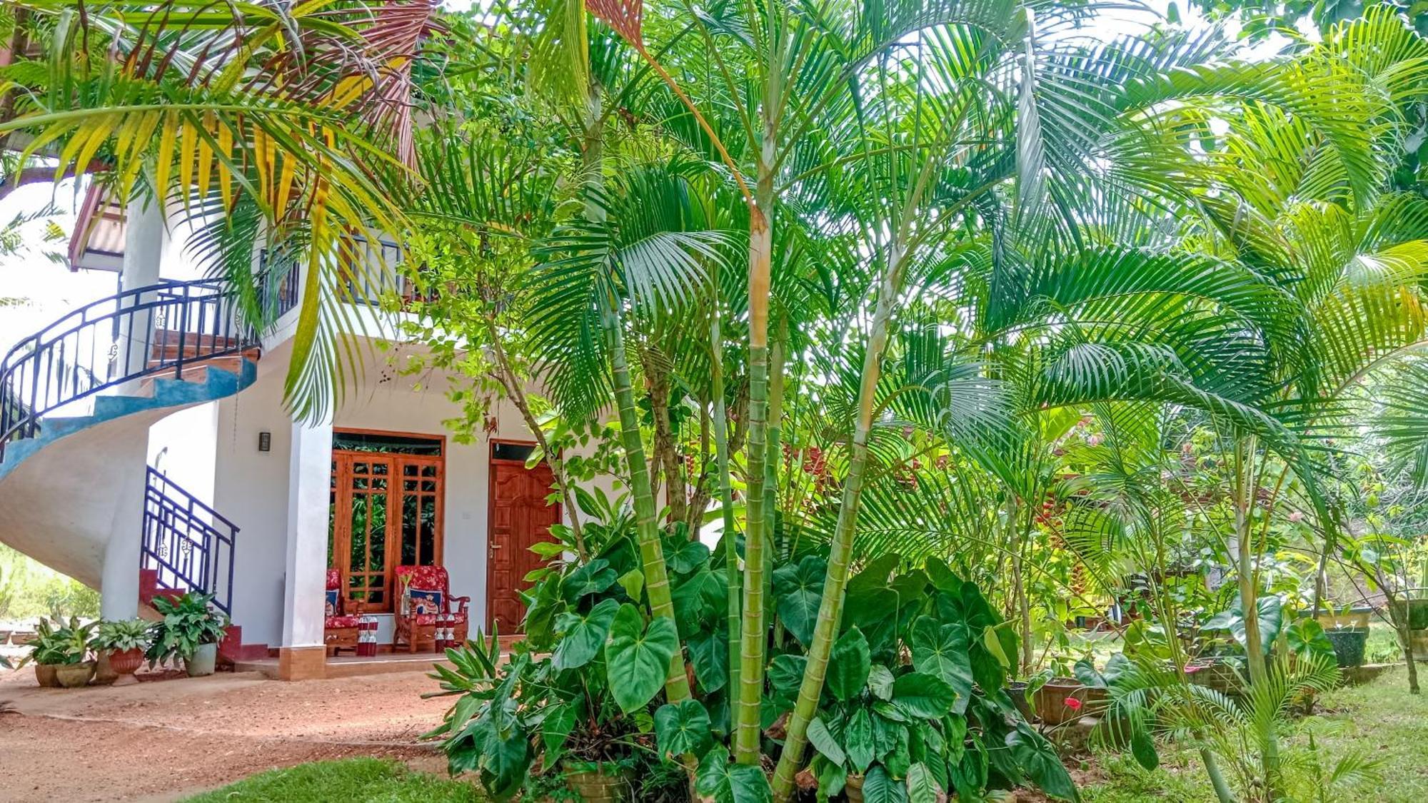 Gimhana Homestay Szigirija Kültér fotó